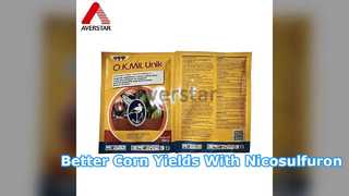 Nicosulfuron 40g L OD Selective Corn Herbicide Solution