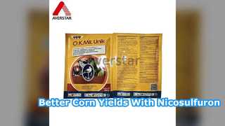 Nicosulfuron 40g L OD Selective Corn Herbicide Solution