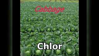 Chlor