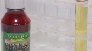 chlorpyrifos + cypermethrin 55% EC