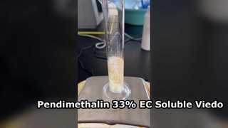 Pendimethalin 33% EC Soluble Viedo