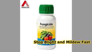 Stop Late Blight and Downy Mildew Fast
