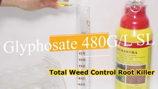 Glyphosate 480g/L SL 