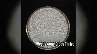 Sulfosulfuron 75 WDG Weed Control